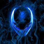 Dany Starseed Profile Picture